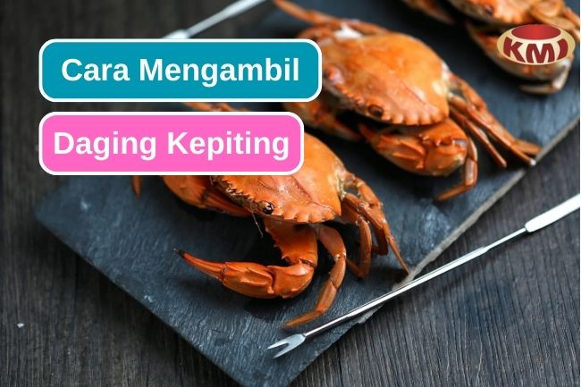 Teknik Memisahkan Daging Kepiting dari Cangkangnya dengan Mudah